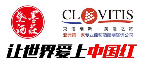 當代咨詢視角下，成功紅集團如何借助企業管理咨詢實現轉型升級